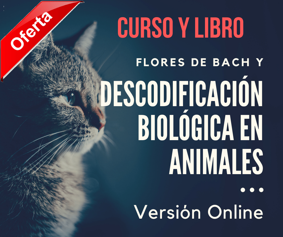 FLORES DE BACH PARA ANIMALES